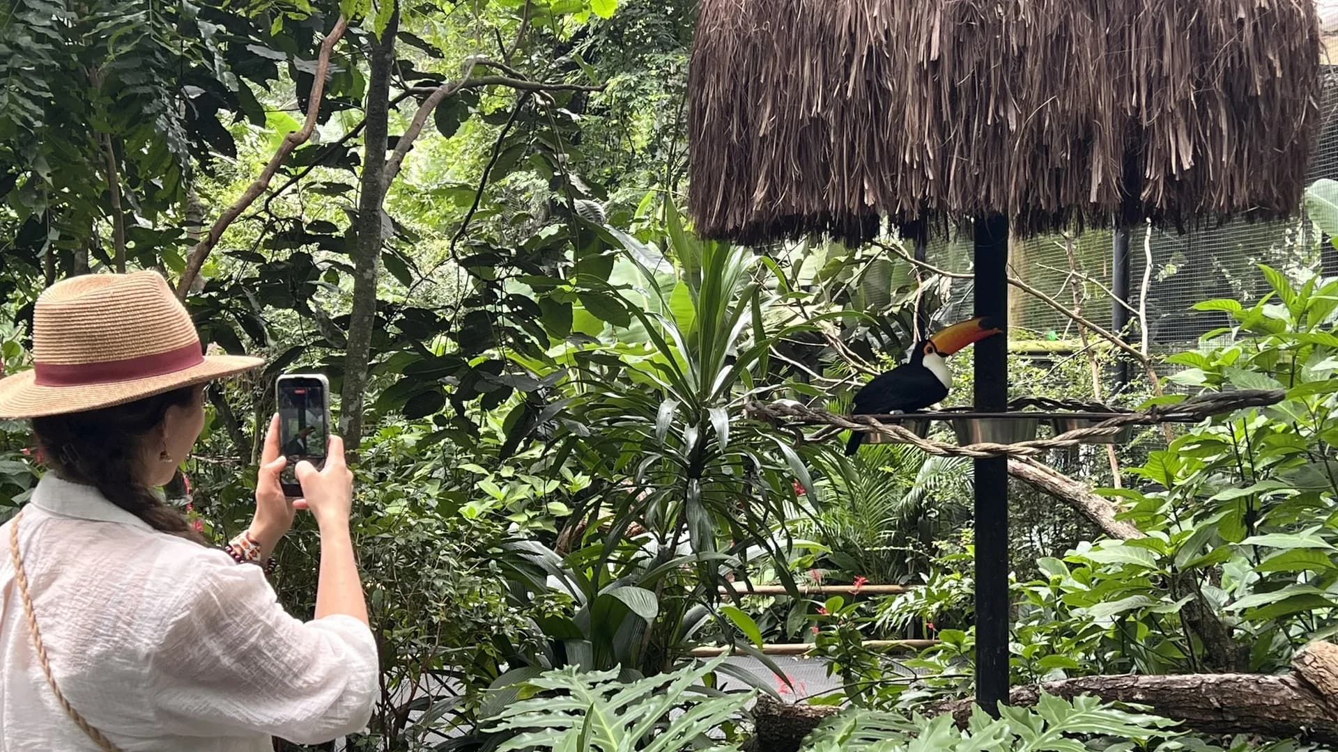 Clientes observando flamingos rosas no Parque das Aves em Foz